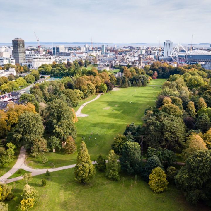 Bute Park Concerts 2024