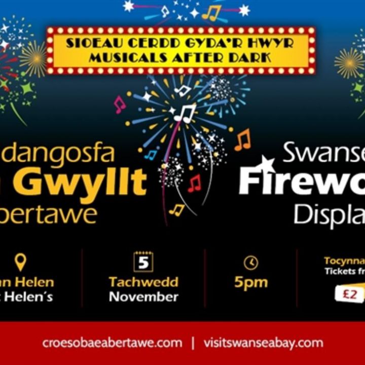 Swansea Firework Display